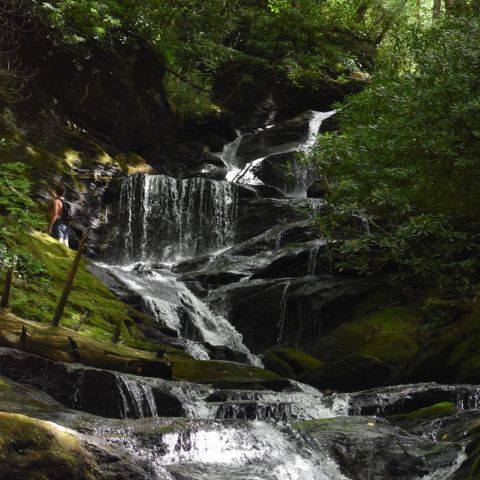 Cabush, Paul & Associates organize mindfulness group therapy sessions for teens and young adults in Northern VA