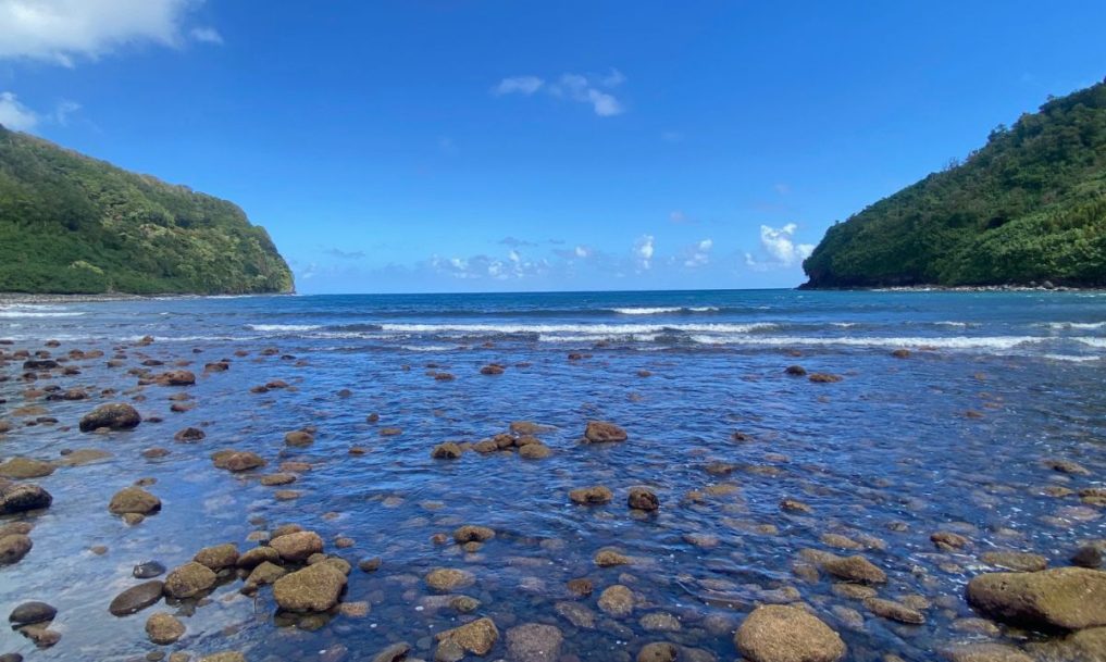 Pathways to Presence Retreat for Mental Health Professionals Northern, VA